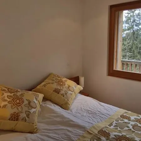Apartment Four Bdr Ski Lift *